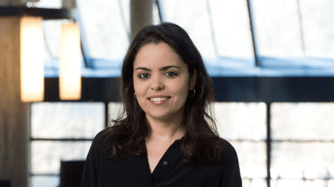 Towards a ‘low ambition equilibrium’